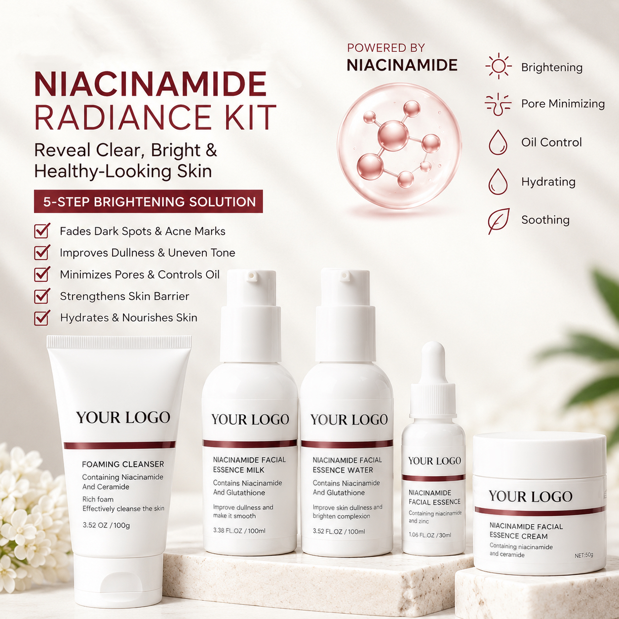 All About Niacinamide Kit
